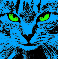 Katze blau